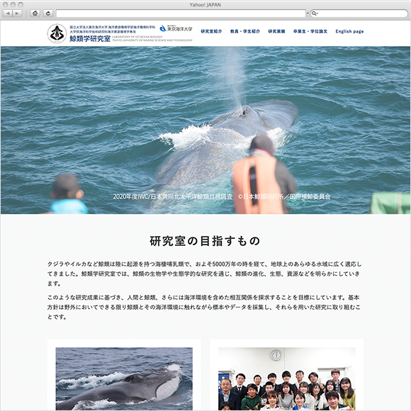 東京海洋大学 鯨類学研究室